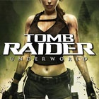 Tomb Raider Anniversary